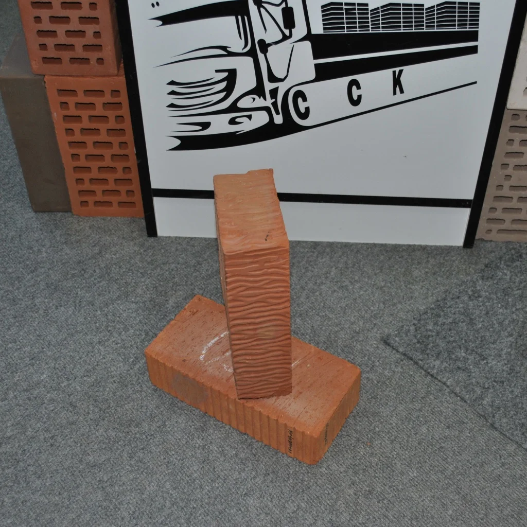 DSC_0168 2.jpg