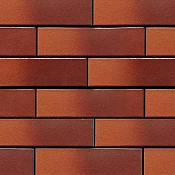 Керамическая облицовочная плитка Lode CAMELEO, 250x65x10