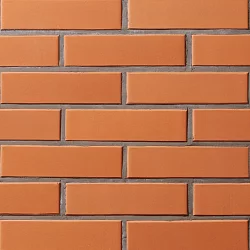 Керамическая облицовочная плитка Lode JANKA, 250x65x10